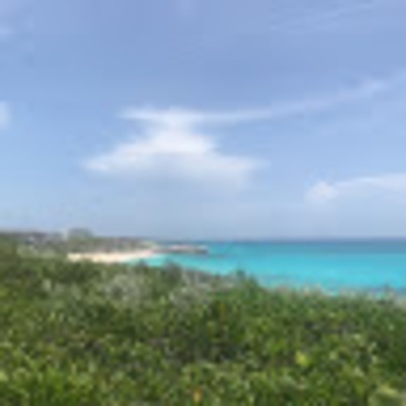 Meet your Posher, Dylan - Picture 1 of 1